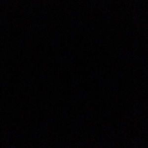 Meet your Posher, Bailey